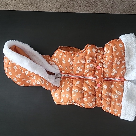 Little Lass hooded leggings set sz 2T - Picture 3 of 6